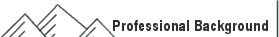 Feinberg's Professional Background