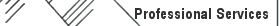Professional Services Offered